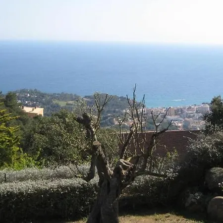 Club Villamar - Caipirinha Lloret de Mar